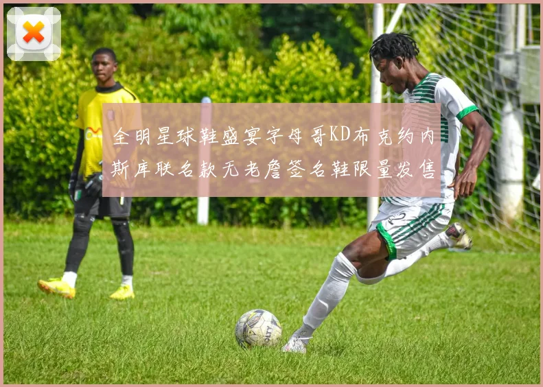 全明星球鞋盛宴字母哥KD布克约内斯库联名款无老詹签名鞋限量发售